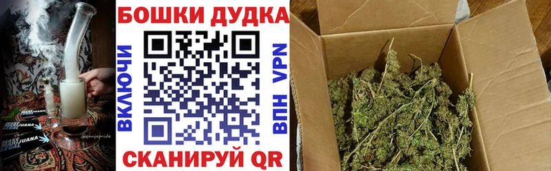 Где купить наркоту Мончегорск Псилоцибиновые грибы A PVP АМФ Меф Конопля КОКАИН Гашиш