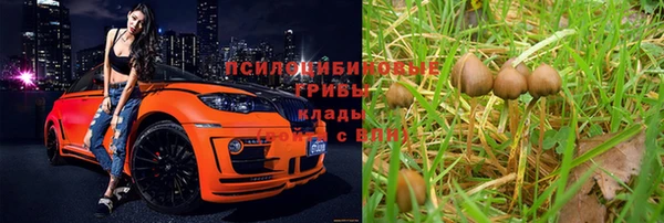 СК Беломорск