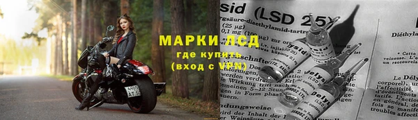 СК Беломорск