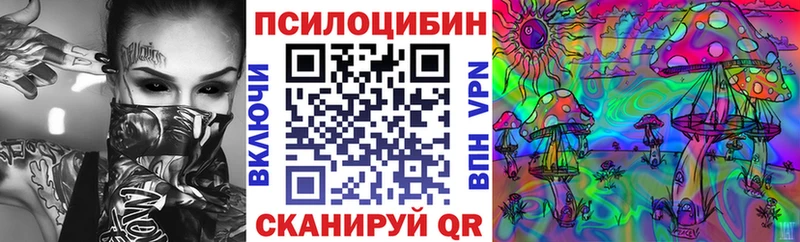 Псилоцибиновые грибы мицелий  где продают наркотики  Мончегорск 